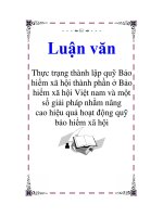 Luận văn Thực trạng thành lập quỹ Bảo hiểm xã hội thành phần ở Bảo hiểm xã hội Việt nam và một số giải pháp nhằm nâng cao hiệu quả hoạt động quỹ bảo hiểm xã hội