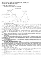 CHẤN THƯƠNG NHÃN CẦU VÀ HỐC MẮT ppt