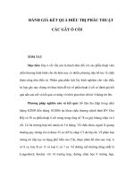 ĐÁNH GIÁ KẾT QUẢ ĐIỀU TRỊ PHẪU THUẬT CÁC GÃY Ổ CỐI pdf