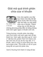 Giải mã quá trình phân chia của vi khuẩn pot