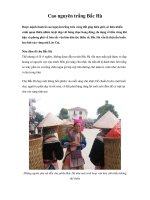 Cao nguyên trắng Bắc Hà pdf