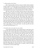 Giáo trình DNA tái tổ hợp part 8 ppsx