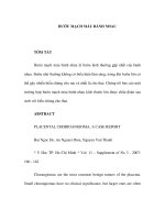 BƯỚU MẠCH MÁU BÁNH NHAU TÓM TẮT Bướu mạch máu bánh nhau là bướu lành pot