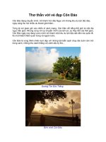 Thơ thẩn với vẻ đẹp Côn Đảo pot