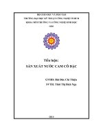 SẢN XUẤT NƯỚC CAM CÔ ĐẶC pot