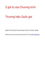 3 giá trị của Chương trình Thương hiệu Quốc gia pptx