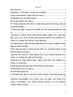 phân tích tình hình thực hiện các chỉ tiêu kết quả sản xuất kinh doanh,tình hình tài chính của công ty tnhh tm thế kỷ năm 2010-2011