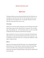 BỆNH THƯỜNG GẶP - Bệnh Zona pot