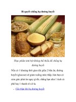 Bí quyết chống hạ đường huyết potx