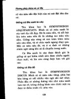 Kỹ thuật chăm sóc và lai tao giống cá đĩa part 10 ppsx
