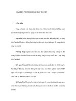 DÀN ĐÈN PHOTOBED HAI MẶT TỰ CHẾ ppsx