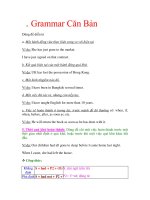 Grammar Căn Bản: Cách chia thì trong tiếng anh phần 2 potx