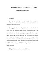 ĐO VẬN TỐC DẪN TRUYỀN DÂY C Ở CHI DƯỚI TRÊN NGƯỜI TÓM TẮT Mục tiêu: Đo ppsx