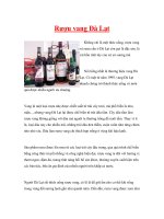 Rượu vang Đà Lạt pdf