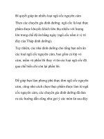 Bí quyết giúp ăn nhiều loại ngũ cốc nguyên cám docx