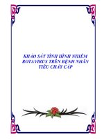 KHẢO SÁT TÌNH HÌNH NHIỄM ROTAVIRUS TRÊN BỆNH NHÂN TIÊU CHẢY CẤP ppt