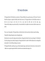 GIỚI THIỆU VĂN HÓA PHONG TỤC VIỆT - TẾT pdf