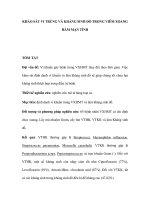 KHẢO SÁT VI TRÙNG VÀ KHÁNG SINH ĐỒ TRONG VIÊM XOANG HÀM MẠN TÍNH doc