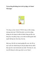 Tự tạo tổng đài thông tin trả lời tự động với Yahoo! Messenger pot