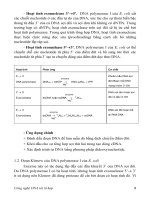 Giáo trình DNA tái tổ hợp part 3 ppsx