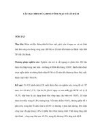 CÁC ĐẶC ĐIỂM CỦA BONG VÕNG MẠC CÓ LỖ RÁCH potx