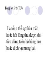 quá trình hình thành quy trình lý thuyết người tiêu dùng trong cung cầu p4 pot