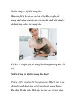 Nhiễm trùng cơ hội khi mang bầu pot