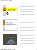 Bài giảng kinh tế học sản xuất - HÀM CỰC BIÊN pdf