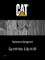 Nguyen Viet Chung DHCN TP HCM_Thieu Chau-Thieu Hoa-Thanh Hoa-THAOLAP xe carter ppt