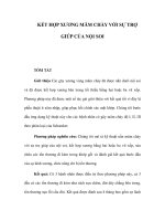 KẾT HỢP XƯƠNG MÂM CHÀY VỚI SỰ TRỢ GIÚP CỦA NỘI SOI pps