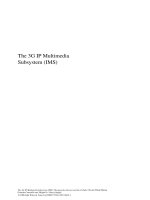 The 3G IP Multimedia Subsystem (IMS) pptx