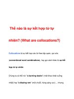 Thế nào là sự kết hợp từ tự nhiên? ppt