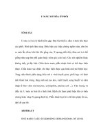 U MÁU XƠ HÓA Ở PHỔI TÓM TẮT U máu xơ hoá là bệnh hiếm gặp. Đặc biệt khối ppt