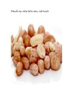 Nhuyễn lạc chữa thiếu máu, xuất huyết pps