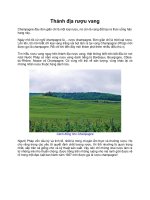 Thánh địa rượu vang ppsx