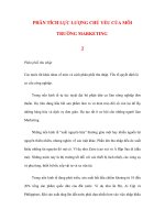 PHÂN TÍCH LỰC LƯỢNG CHỦ YẾU CỦA MÔI TRƯỜNG MARKETING 2 doc