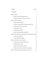 Thiết kế hệ thống ổn áp sắt từ công suất lớn