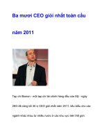 Ba mươi CEO giỏi nhất toàn cầu năm 2011 pps