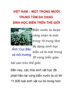 VIỆT NAM – MỘT TRONG MƯỜI TRUNG TÂM ĐA DẠNG SINH HỌC BIỂN TRÊN THẾ GIỚI ppsx