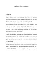 NHIỄM VI NẤM CANDIDA SPP ppsx