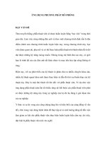 ỨNG DỤNG PHƯƠNG PHÁP MÔ PHỎNG docx