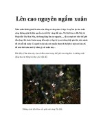 Lên cao nguyên ngắm xuân potx