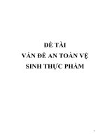 Đề tài: Vấn đề an toàn vệ sinh thực phẩm docx