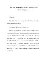 CÁC YẾU TỐ TIÊN ĐOÁN KẾT QUẢ NONG VAN HAI LÁ BẰNG BÓNG QUA DA pdf