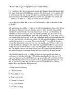 Chí Linh Bát cổ qua tư liệu thành văn và khảo cổ học potx