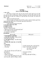 Giáo án lớp 4 năm 2011 - Tuần 14 potx