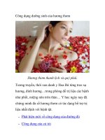 Công dụng dưỡng sinh của hương thơm potx