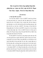 bảo vệ quyền sở hữu công nghiệp bằng biện pháp dân sự