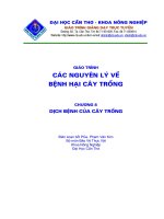 Giáo trình các nguyên lý về bệnh hại cây trồng -chương 8 potx