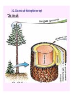 Kỹ thuật hóa học hữu cơ part 8 pot